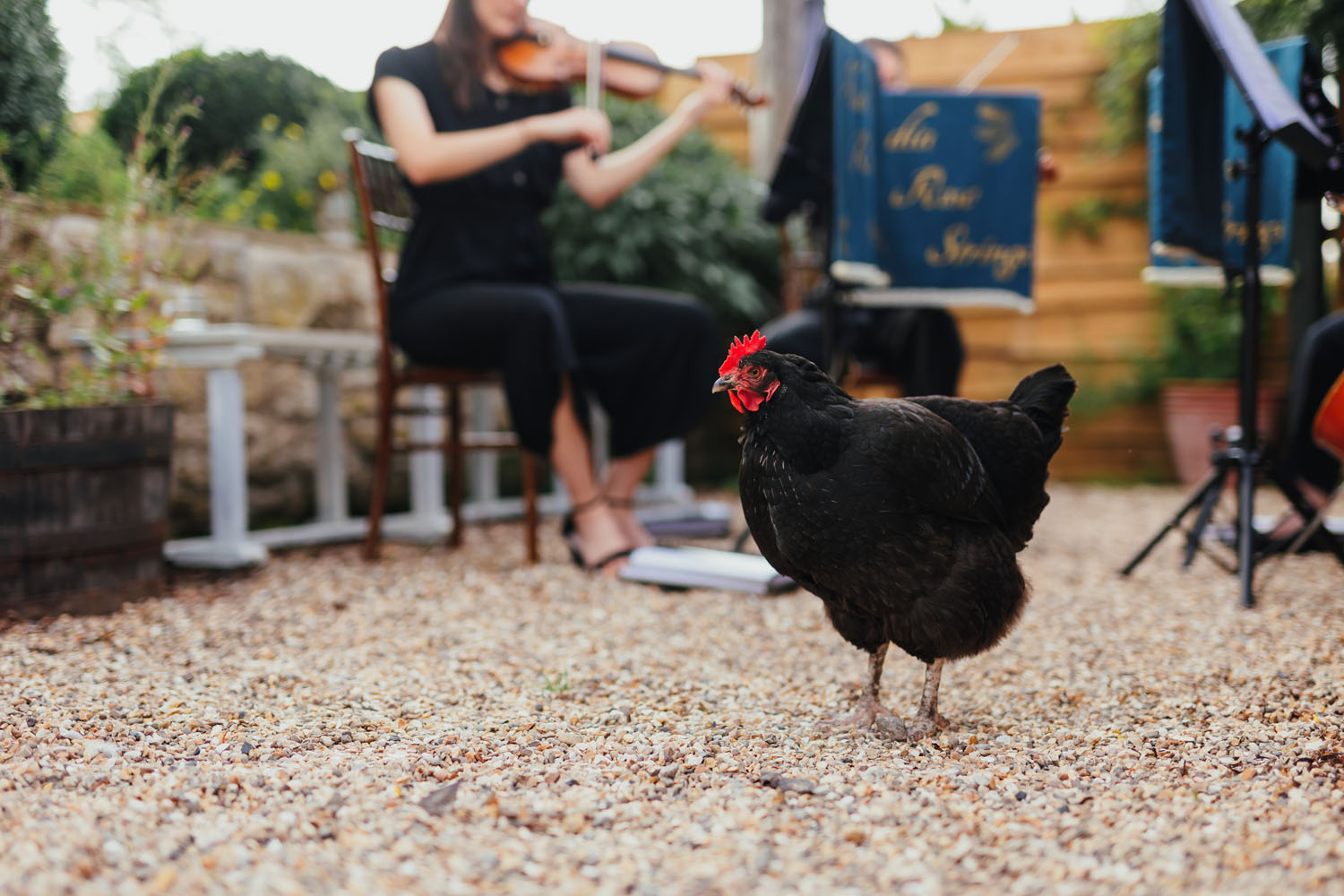 Star Inn Harome Wedding Photographer